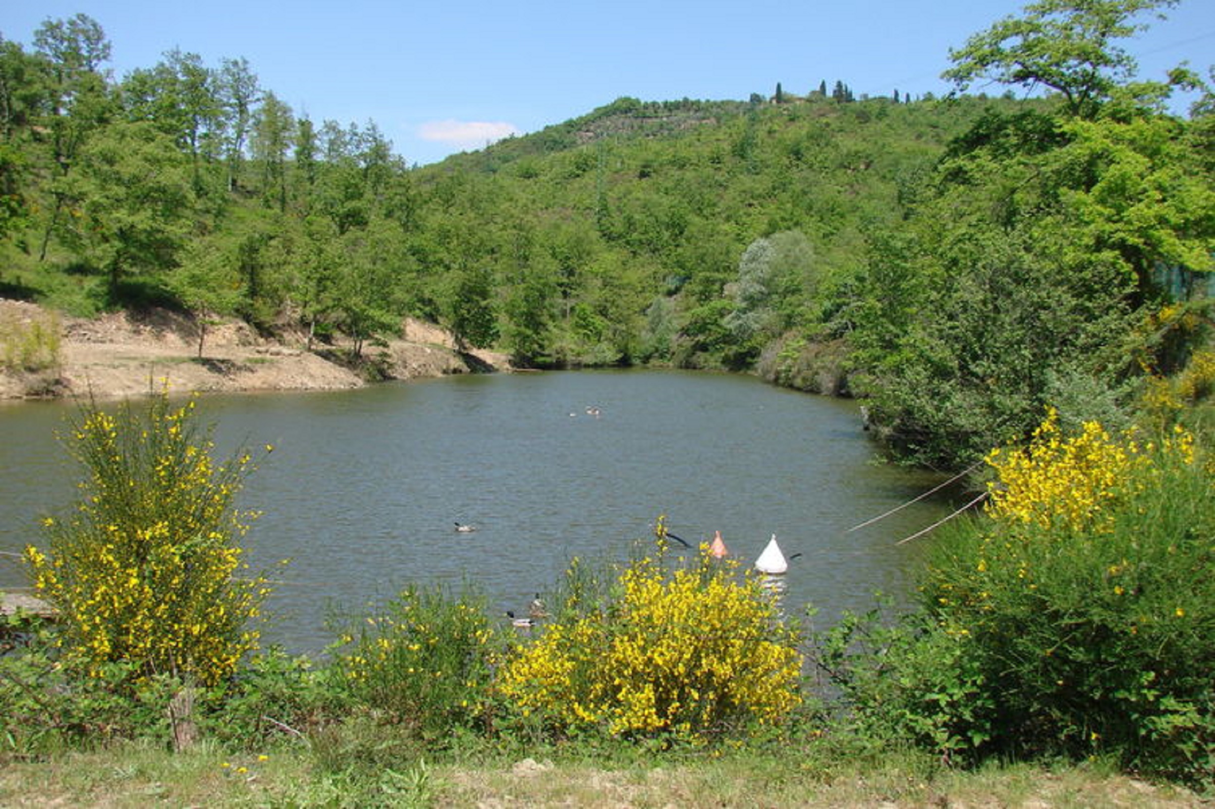 Lake in Reserve